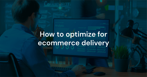 Manhattan WMS Ecommerce Delivery